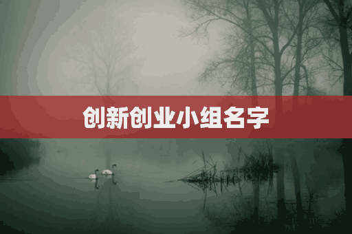 创新创业小组名字